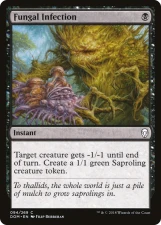 Fungal Infection card image