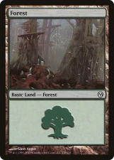 Forest card image
