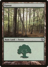 Forest card image