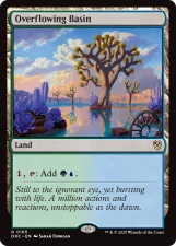 Overflowing Basin card image