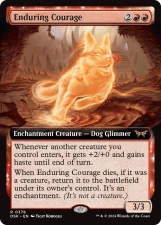 Enduring Courage card image