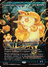 Enduring Curiosity card image