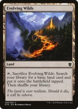 Evolving Wilds card image