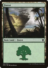 Forest card image