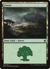 Forest card image