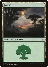 Forest card image