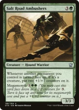 Salt Road Ambushers card image