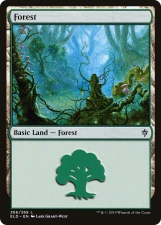Forest card image
