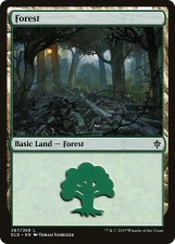 Forest card image
