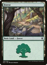 Forest card image