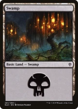 Swamp card image