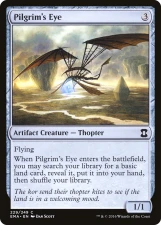 Pilgrim’s Eye card image