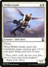 Welkin Guide card image