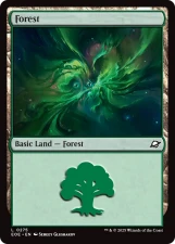 Forest card image