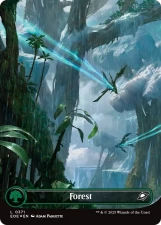 Forest card image