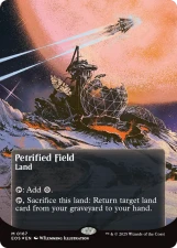 Petrified Field card image