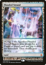 Flooded Strand card image