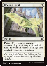 Fleeting Flight card image
