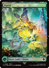 Forest card image