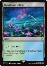 Overflowing Basin card image