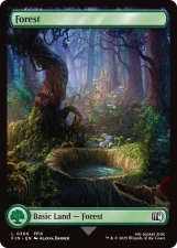 Forest card image