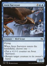 Aven Surveyor card image