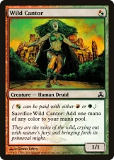 Wild Cantor card image