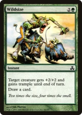Wildsize card image