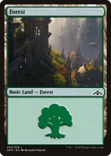 Forest card image