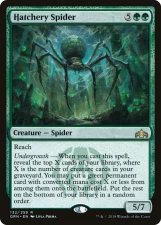Hatchery Spider card image