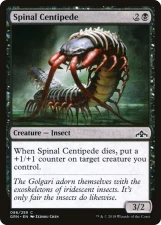 Spinal Centipede card image