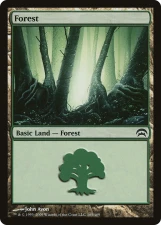 Forest card image