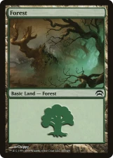 Forest card image