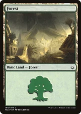 Forest card image