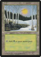 Forest card image
