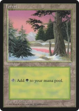Forest card image