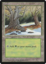 Forest card image