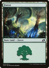Forest card image