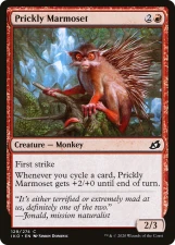 Prickly Marmoset card image