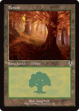 Forest card image