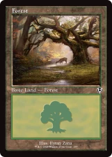 Forest card image