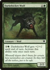 Darkthicket Wolf card image