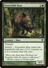 Festerhide Boar card image