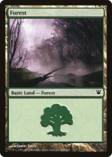 Forest card image