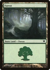 Forest card image