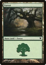 Forest card image