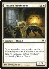 Thraben Purebloods card image