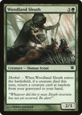 Woodland Sleuth card image