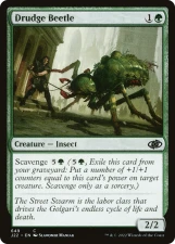 Drudge Beetle card image