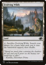 Evolving Wilds card image